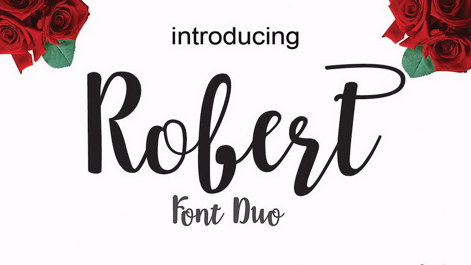 

Robert: An Eye-Catching Brush Font Inspired by Typography and Hand Lettering