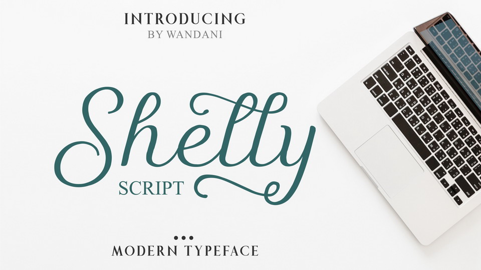 

Shelly Script: A Modern Calligraphy Font with Unique and Eye-Catching Details