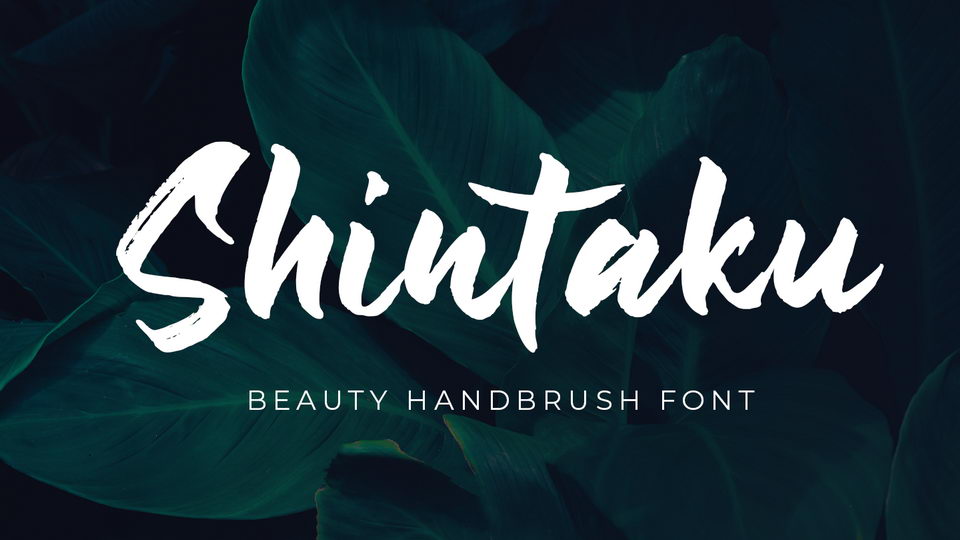 

Shintaku: An Adventurous Handbrush Font