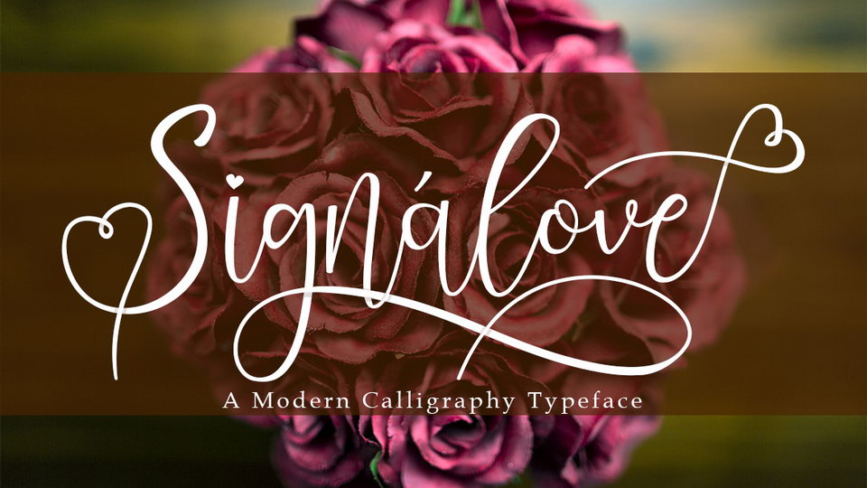 

Signalove: A Romantic Modern Calligraphy Typeface