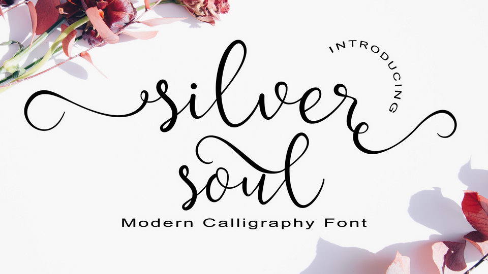 

Silver Soul: A Beautiful Modern Calligraphy Font
