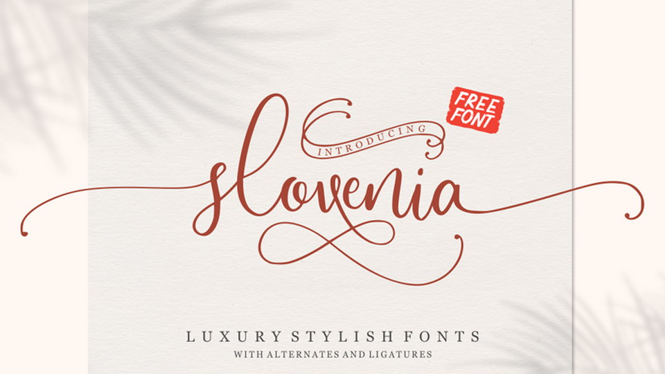 

Slovenia: A Modern Calligraphy Script with Captivating and Graceful Style