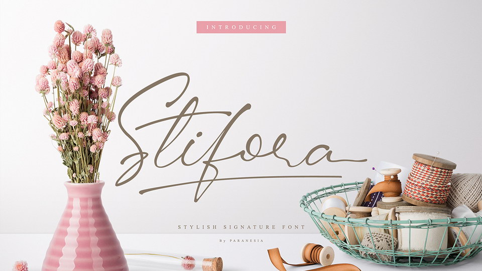 

Stifora Script: A Modern, Beautiful and Classy Script Font Perfect for a Variety of Uses