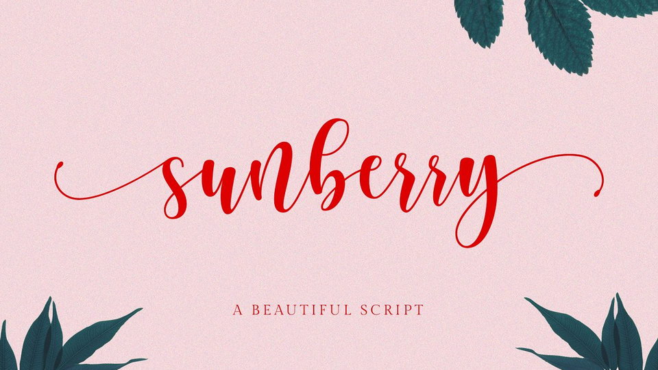 sunberry.jpg