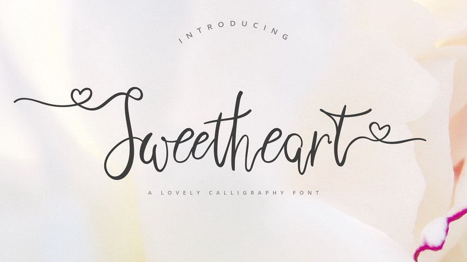 

Sweetheart: A Stunning Calligraphy Script Font with Elegant and Sophisticated Flows