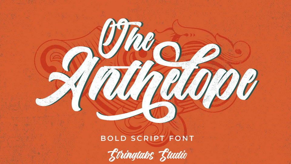 

Anthelope: A Bold Script with a Distinctively Groovy Style