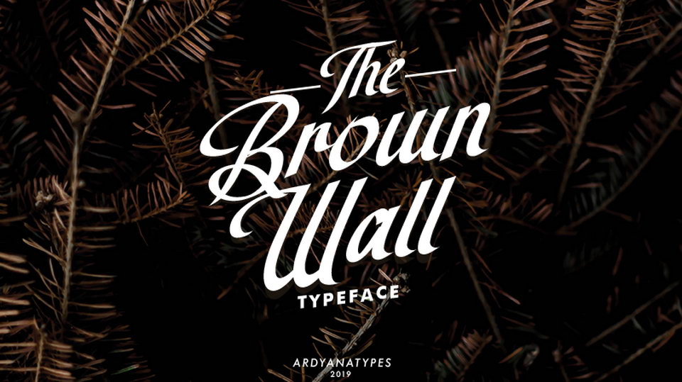 

The Brown Wall Script Font: An Incredibly Stunning Choice for Any Project