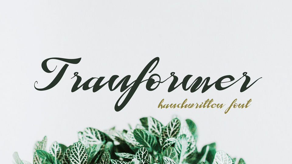 

Tranformer Font: An Amazing Handwritten Script Font With Exceptional Free Flow and Casual Style
