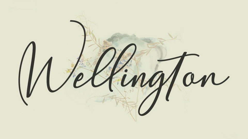 

Wellington: A Stunning Modern Calligraphy Script Font for Stunning Designs