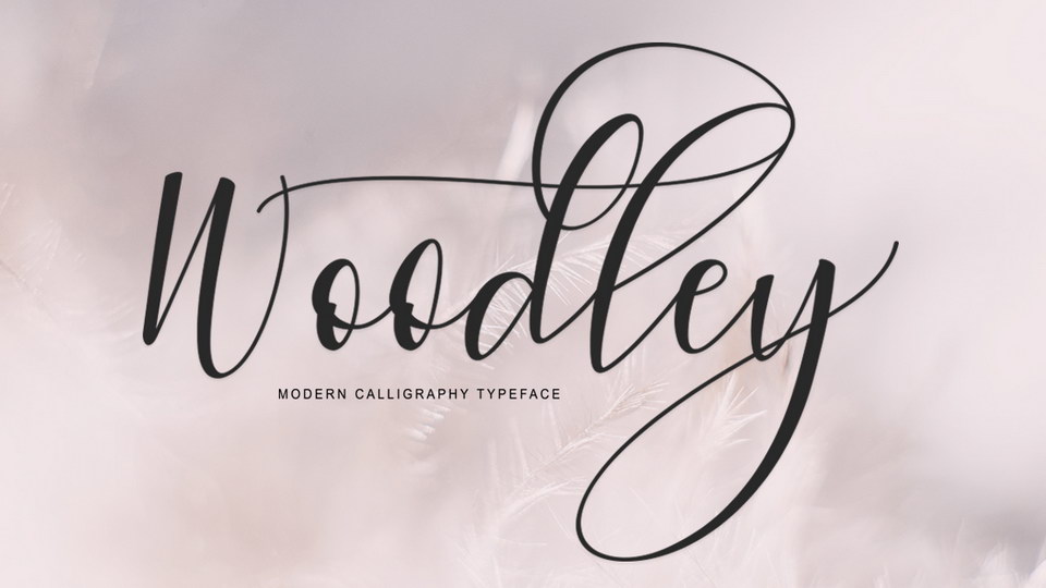 

Woodley: A Modern Calligraphy Script That Is Truly a Sight to Behold
