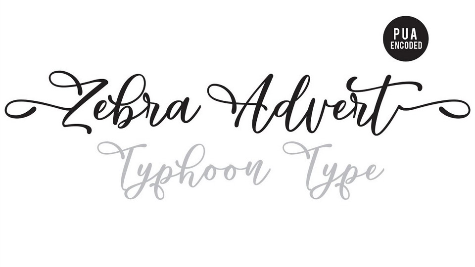 

Zebra Advert: A Stunning Modern Calligraphy Script