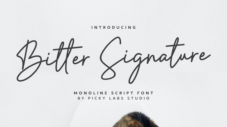  Bitter Signature: Ultimate Monoline Font for Effortlessly Smooth Designs