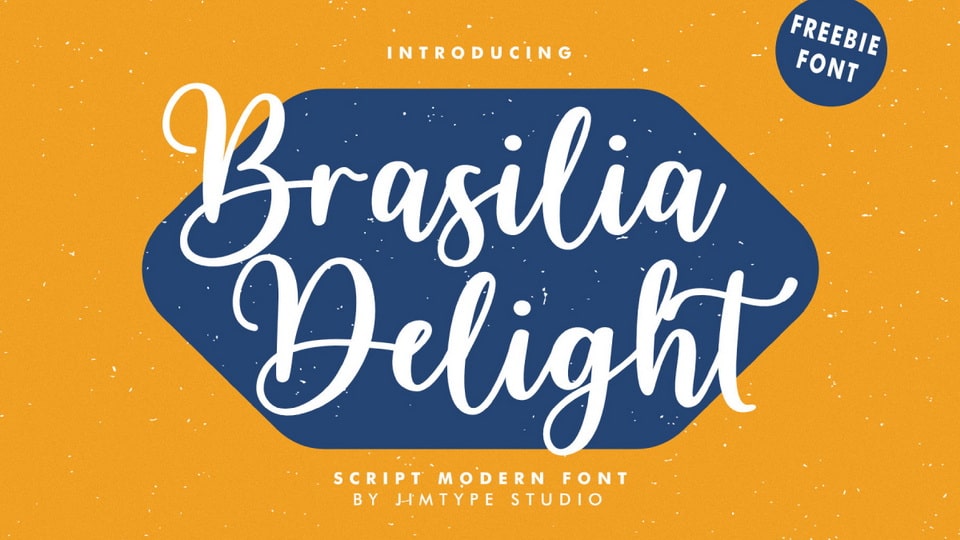 Brasilia Delight mesmerizing modern script font