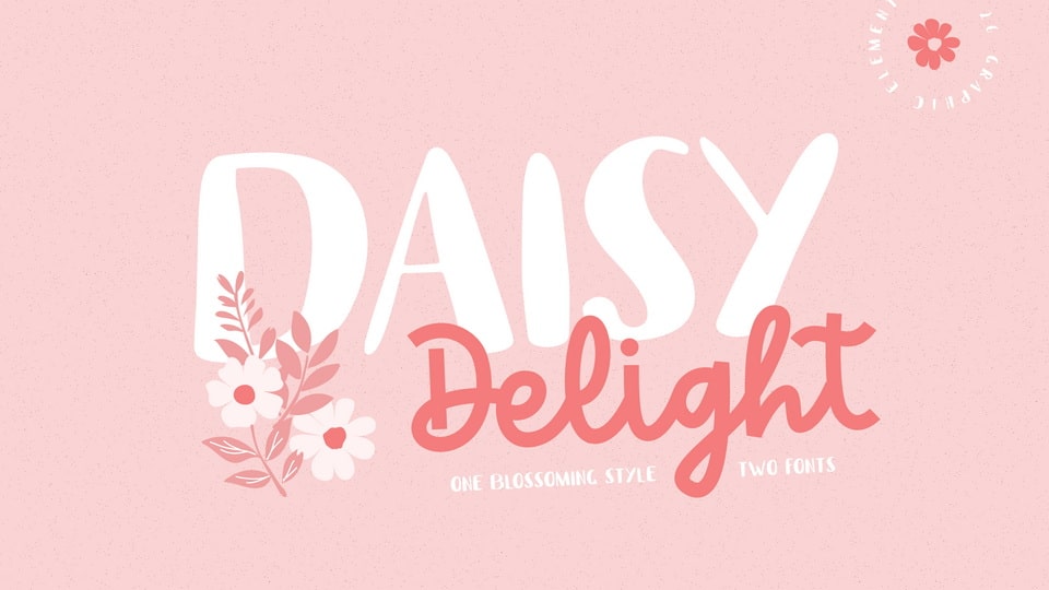 daisy_delight-1.jpg