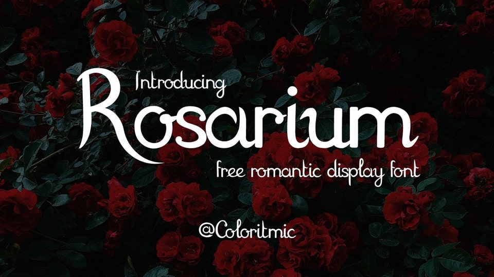rosarium-4.jpg