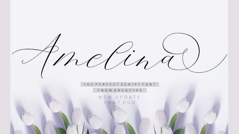Amelina: A Lovely Duo Script Font for Personalized Designs