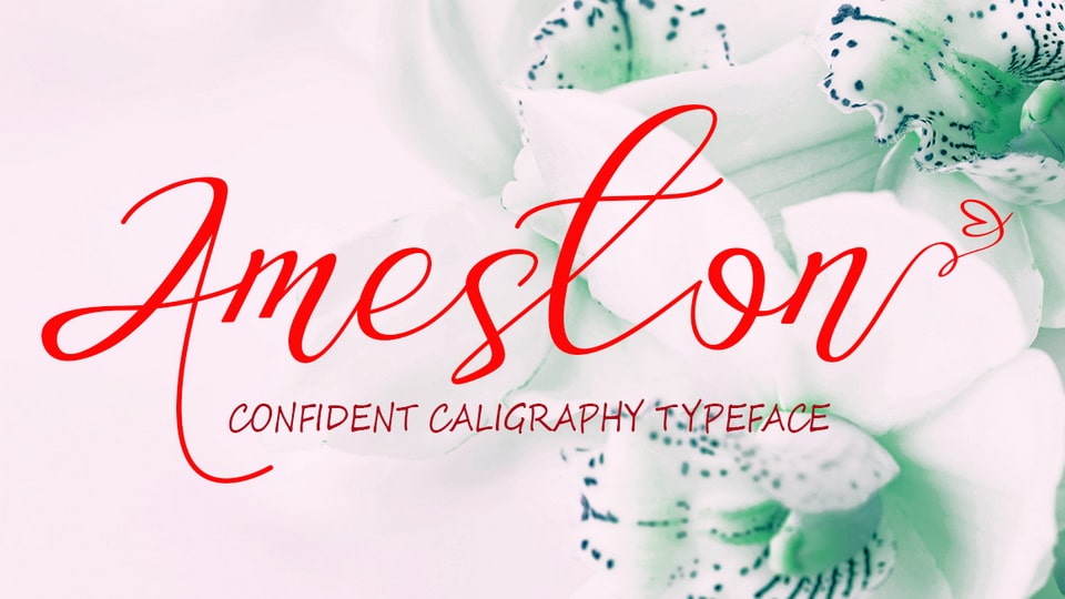 Ameston: A Modern & Authentic Handwritten Font