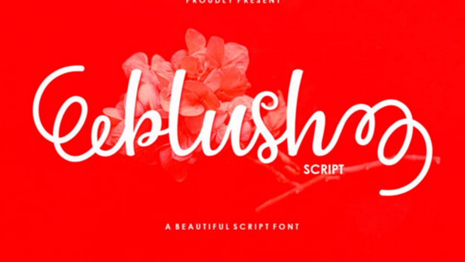 Blush Script: A Charming and Playful Font