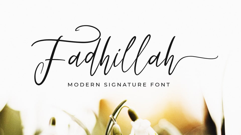 Fadhillah Signature: An Elegant Handwritten Font