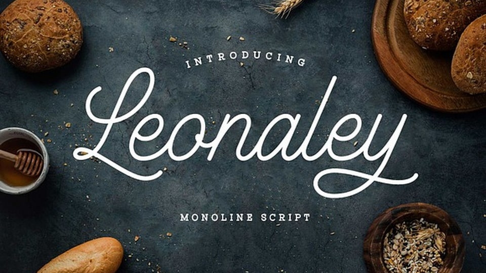 Leonaley: A Minimalist Monoline Font with a Dramatic Flair