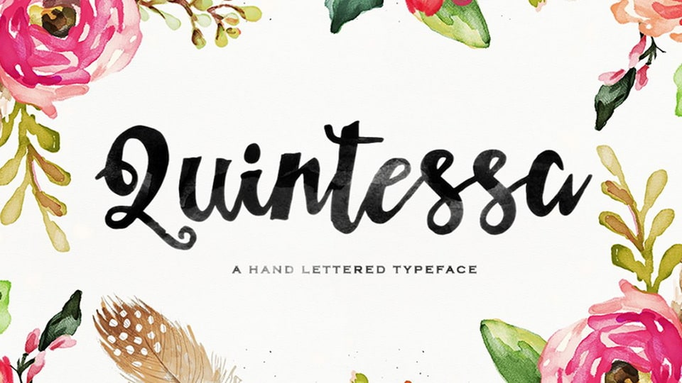 Quintessa: A Modern Brush Script Font