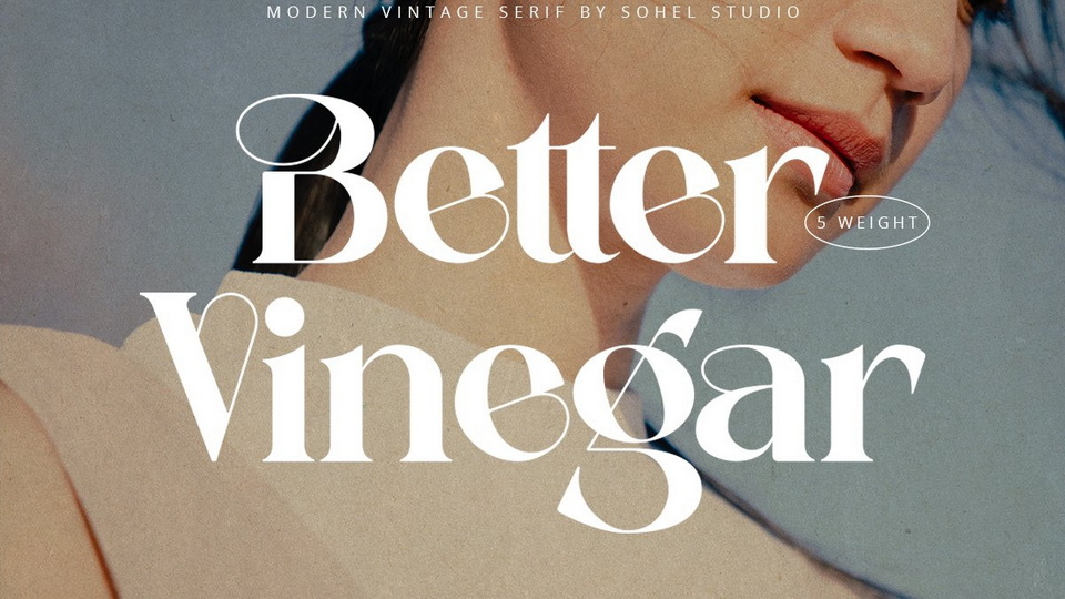

Better Vinegar: A Modern, Vintage Serif Font