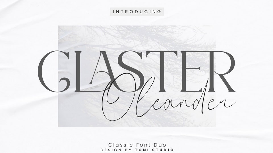 Claster Oleander Font