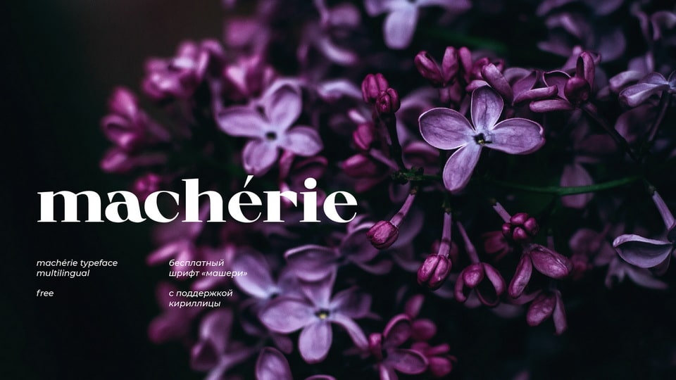 

Machérie: An Antique Font with High Contrast and Smooth Transitions