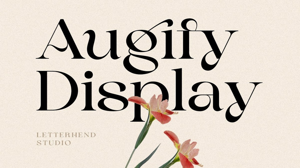 augify_display.jpg