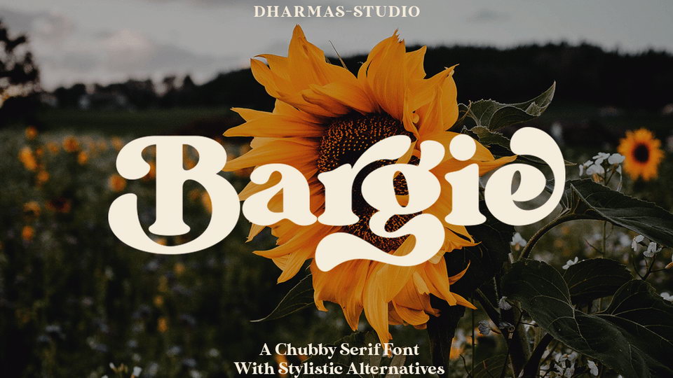 

Bargie: A Charming Serif Font with a Classic 70's Aesthetic