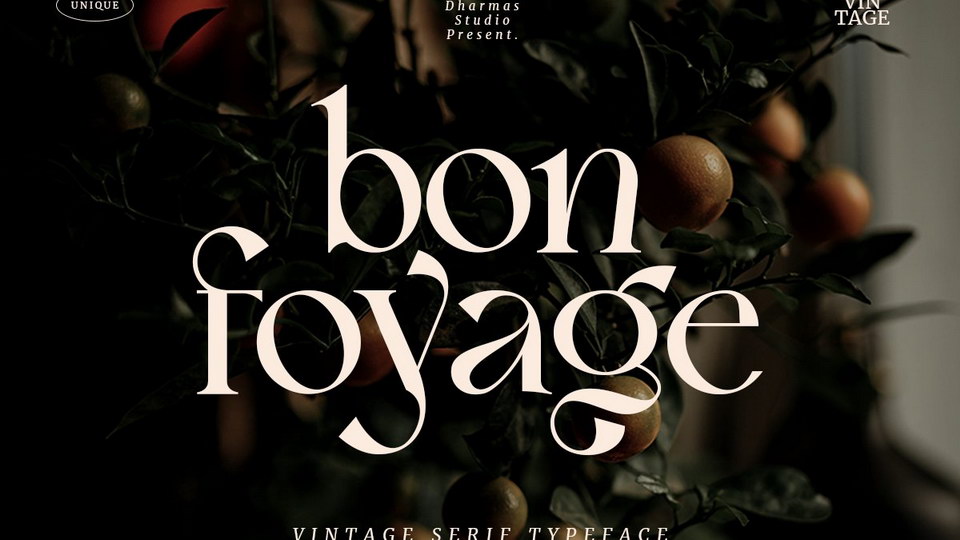 

Bon Foyage: An Exquisite Modern Serif Typeface With Unique Letterforms