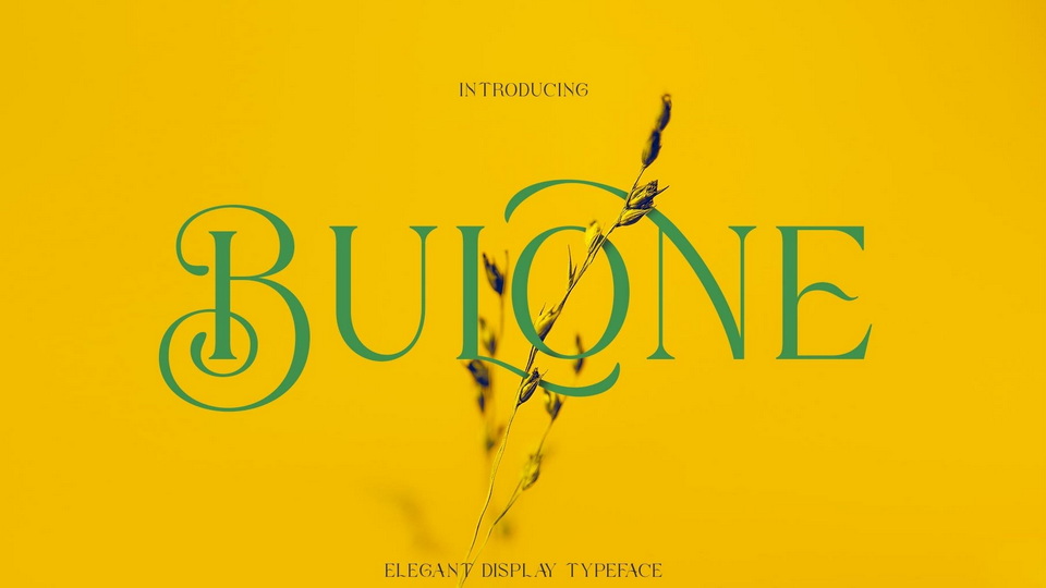 Bulone: A Dynamic and Elegant Serif Font