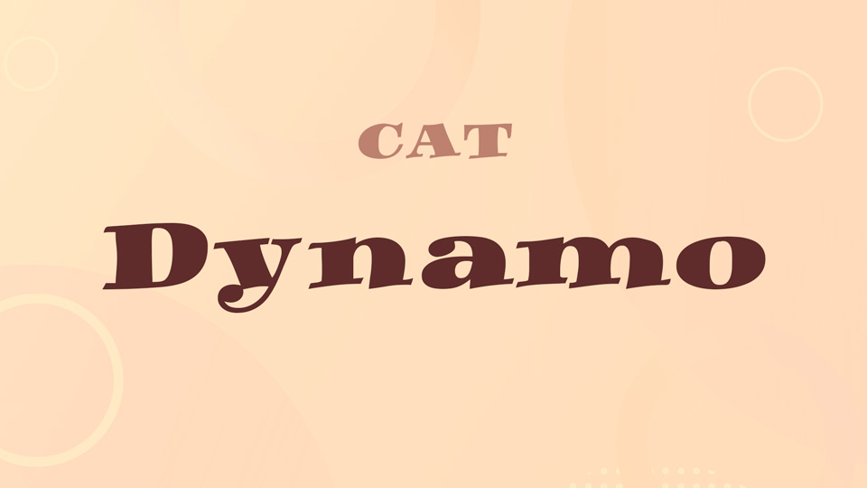 

Dynamo: A Lively Typeface with a Mischievous Edge
