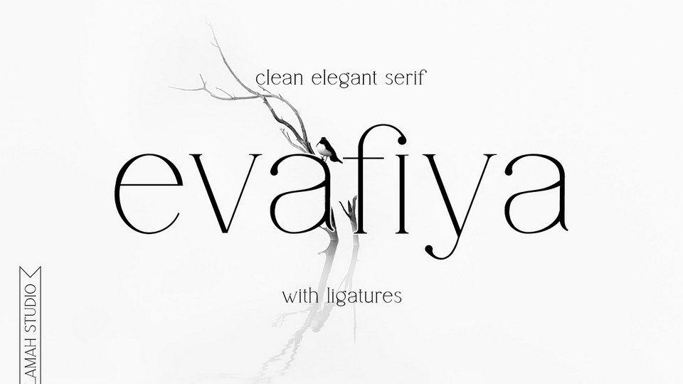 Evafiya: Elegant Serif Font to Elevate Your Designs