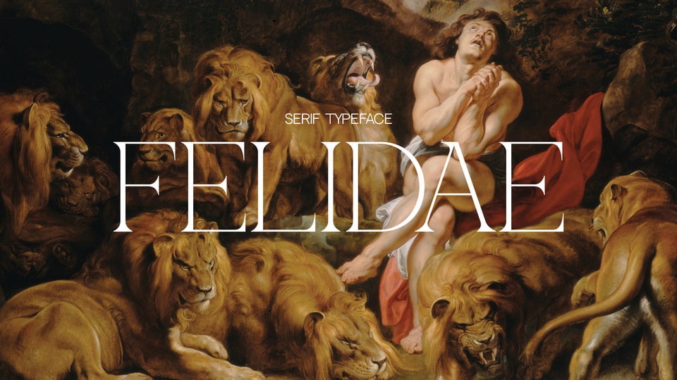 

Felidae: A Modern Serif Typeface Inspired by a Lion's Mane