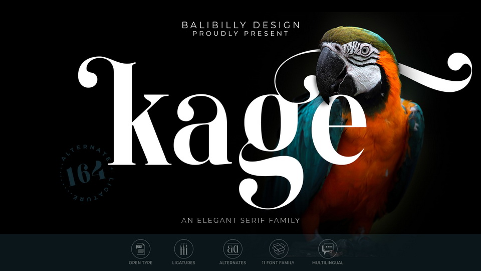 

Kage: A Unique and Elegant Serif Typeface for Modern Luxury Fashion