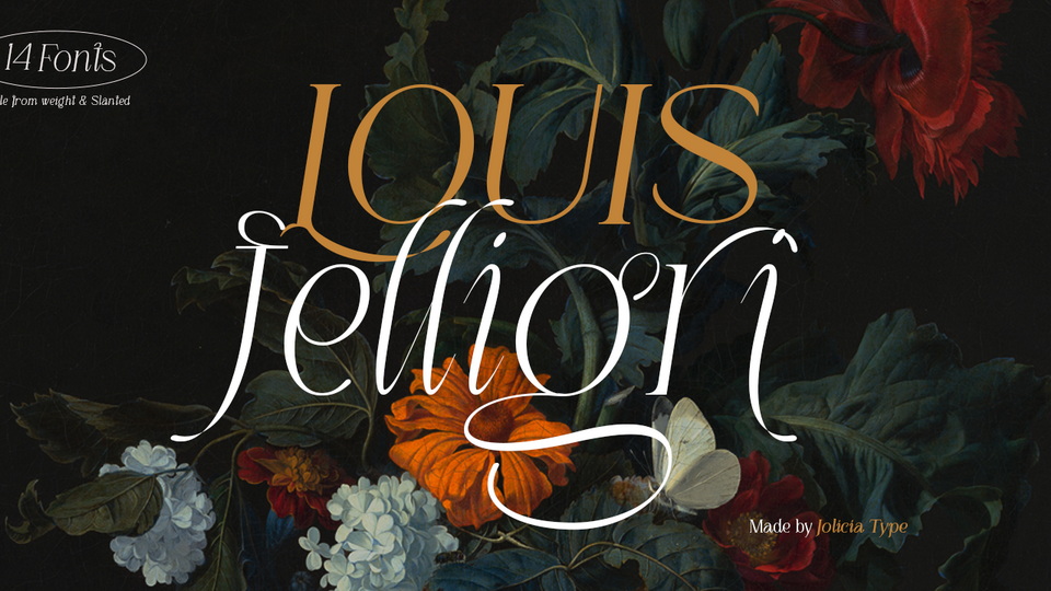 Experiment and Explore with Louis Felligri: A Contemporary Display Serif Font