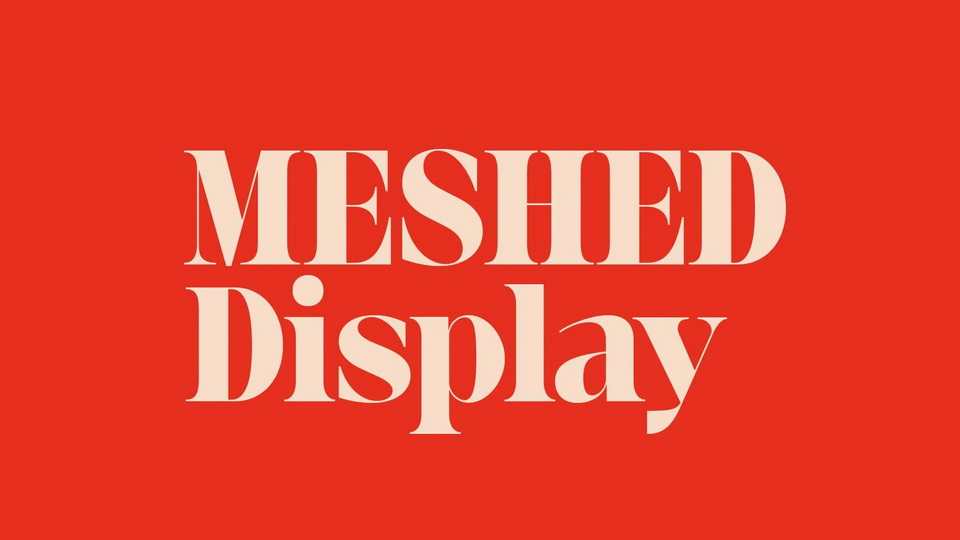 MESHED Display: A Celebration of the Art of Lettering