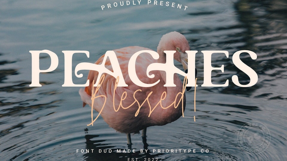 

Peaches Blessed: A Luxurious and Sophisticated Font Duo