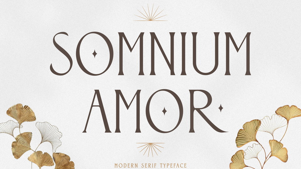 

Somnium Amor: A Beautiful Vintage Serif Font with a Modern, Minimalist Aesthetic