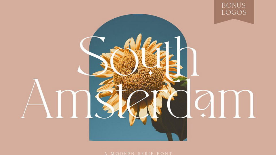 

South Amsterdam: A Modern Serif Typeface That Stands Out From the Crowd