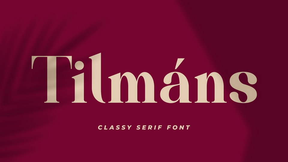 

Tilmáns: A Bold and Modern Serif Typeface