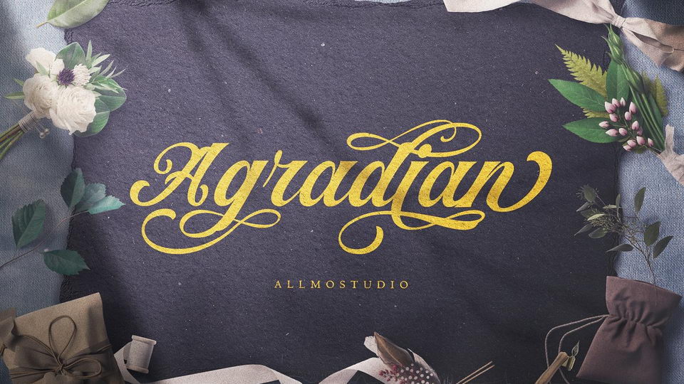 

Agradian: An Incredible Script Font that Captures the Beauty of Latin Calligraphy