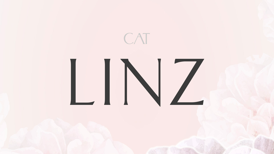 

CAT Linz: A Timeless Typeface with a Classic Feel
