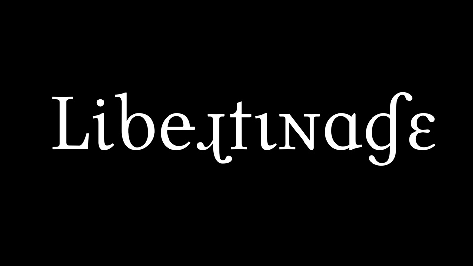 

Libertinage: A Powerful and Versatile Serif Typeface