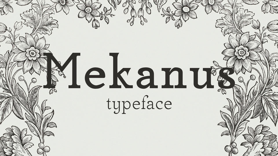

Mekanus: An Incredibly Unique Serif Font Family