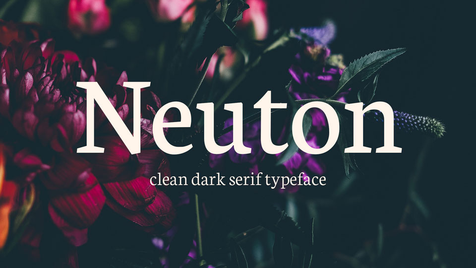 

Neuton: An Elegant and Timeless Font With a Modern Twist