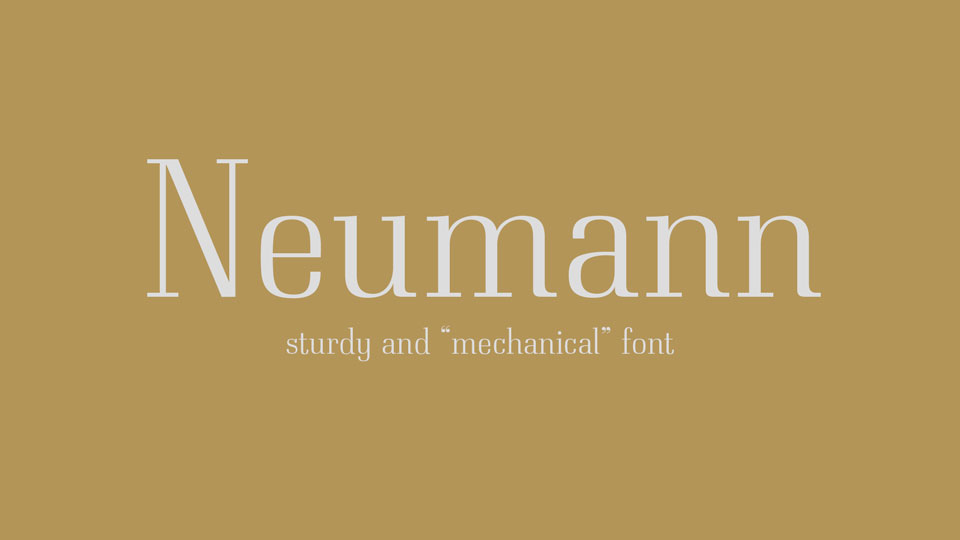 

Neumann: A Bold and Unique Didones Inspired Font