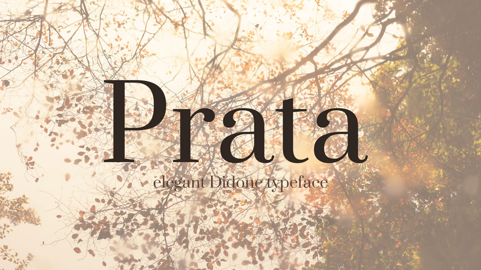 

Prata: An Exquisite Font Designed to Inspire Admiration and Appreciation