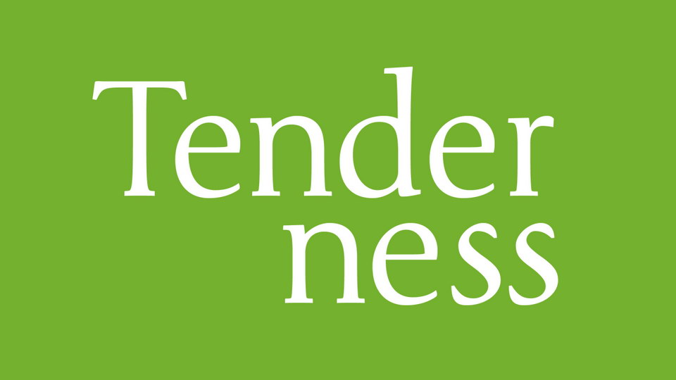 

Tenderness: A Beautiful Serif Typeface that Pays Homage to the Classic Roman Body